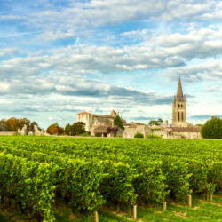 Vineyards of Saint Emilion, Bordeaux Vineyards in France in a sunny day